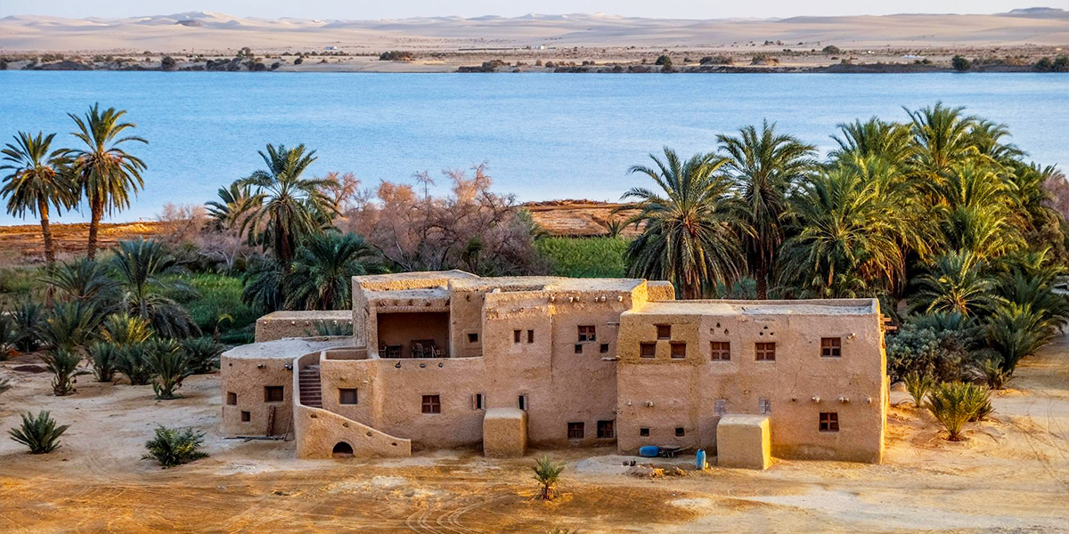 Giza Pyramids & Nile Cruise & Oasis