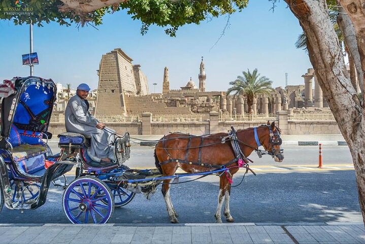 Luxor Private City Tour: By Horse & Carriage €