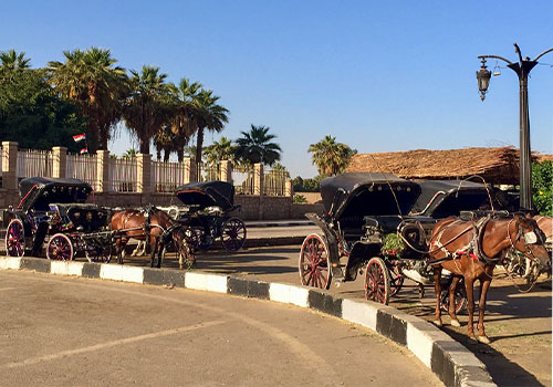 Luxor Private City Tour: By Horse & Carriage €