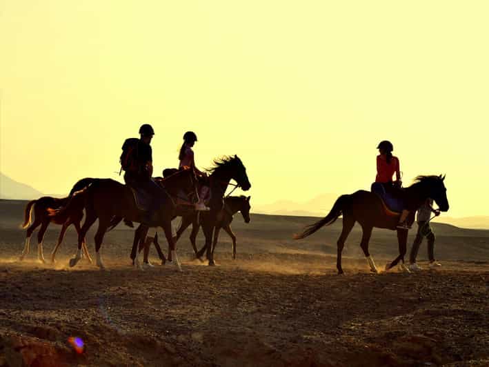 Horse Or Camel Ride at Sunset in luxor €