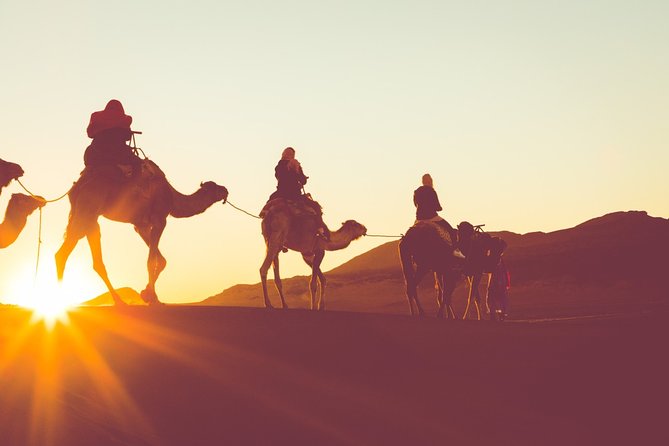 Horse Or Camel Ride at Sunset in luxor €