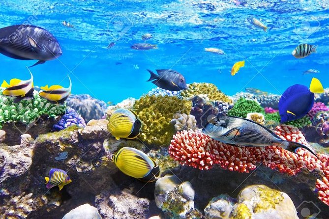 Private Day Excursion to Red Sea from Luxor