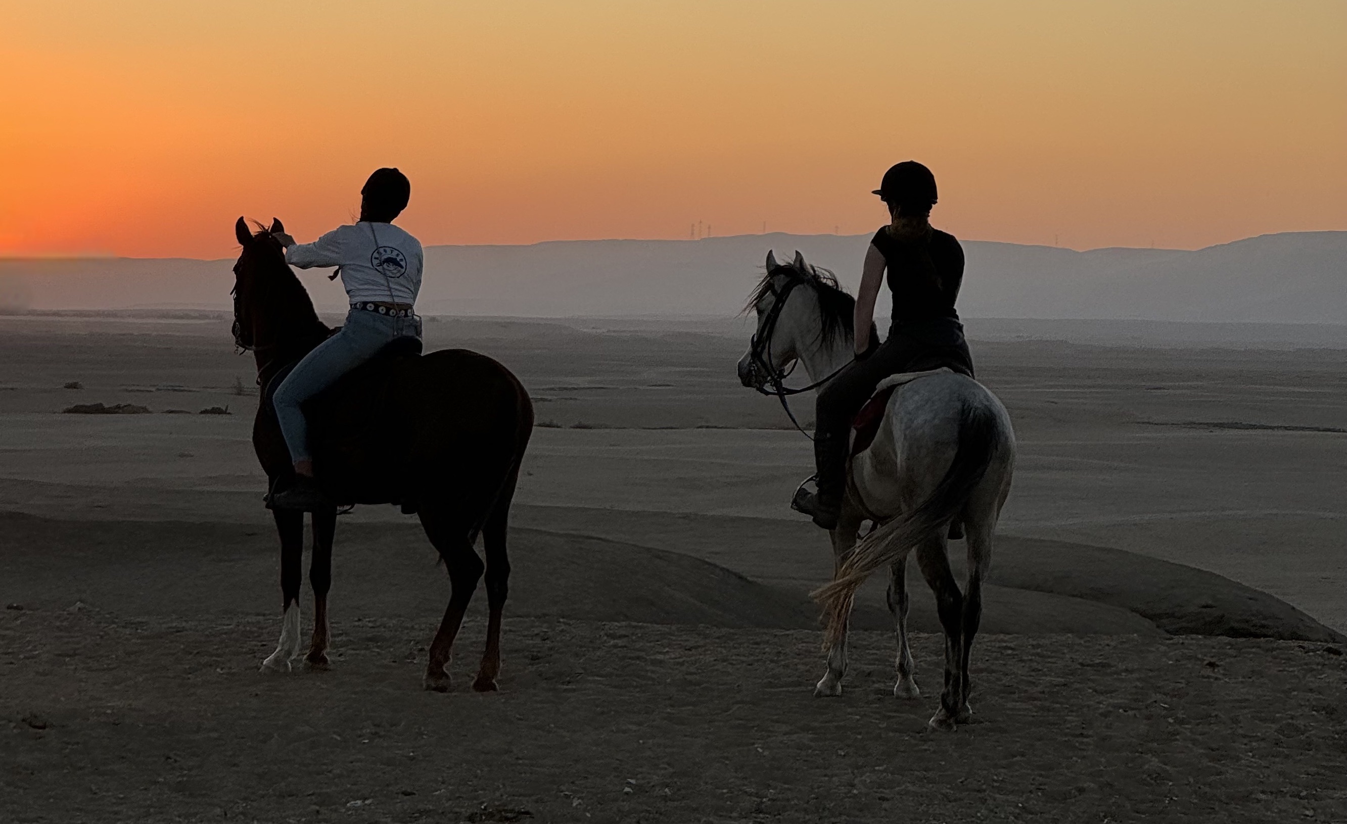 Horse Or Camel Ride at Sunset in luxor €