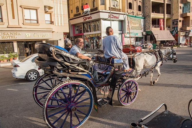 Luxor Private City Tour: By Horse & Carriage €