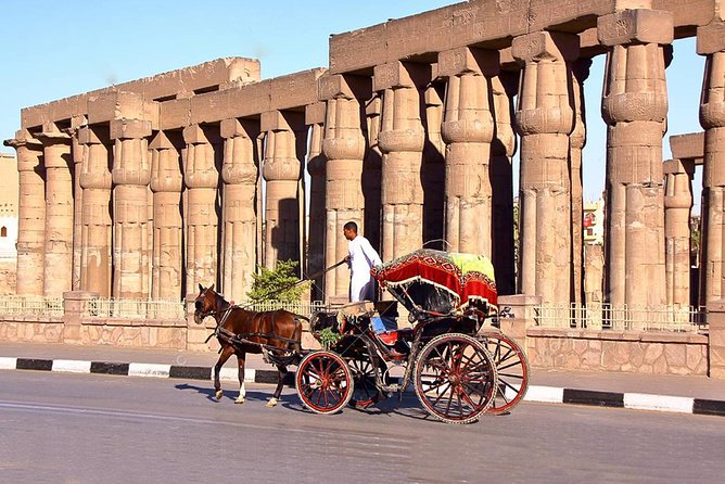 Private Half Day Tour: to Dendera Temple From Luxor €
