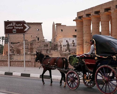 Luxor Private City Tour: By Horse & Carriage €