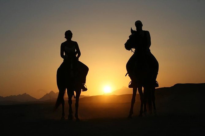 Horse Or Camel Ride at Sunset in luxor €