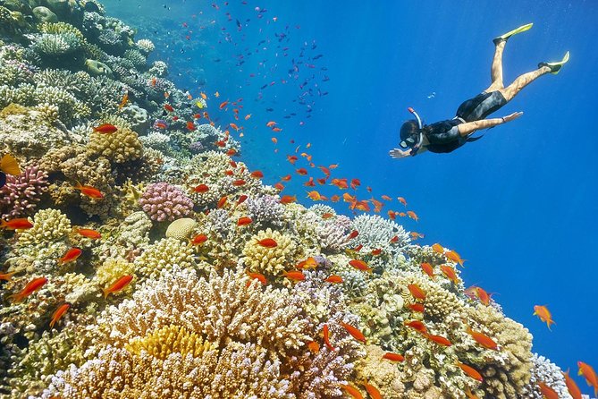 Private Day Excursion to Red Sea from Luxor