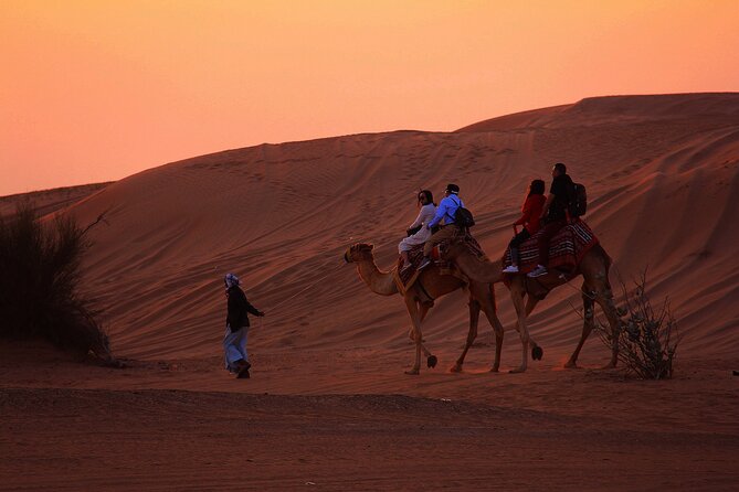 Horse Or Camel Ride at Sunset in luxor €