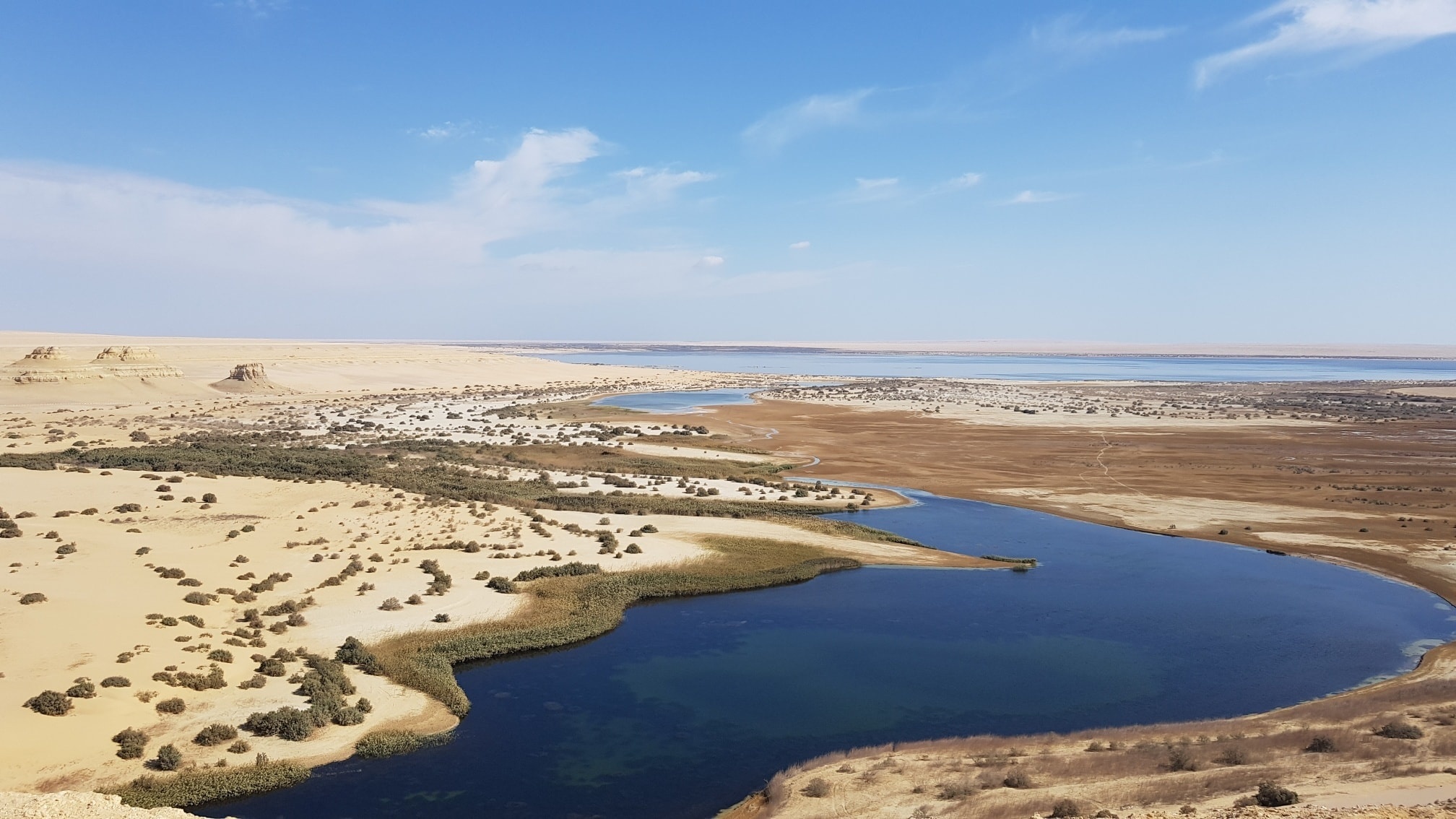 Day Tour from Cairo to Fayoum Oasis