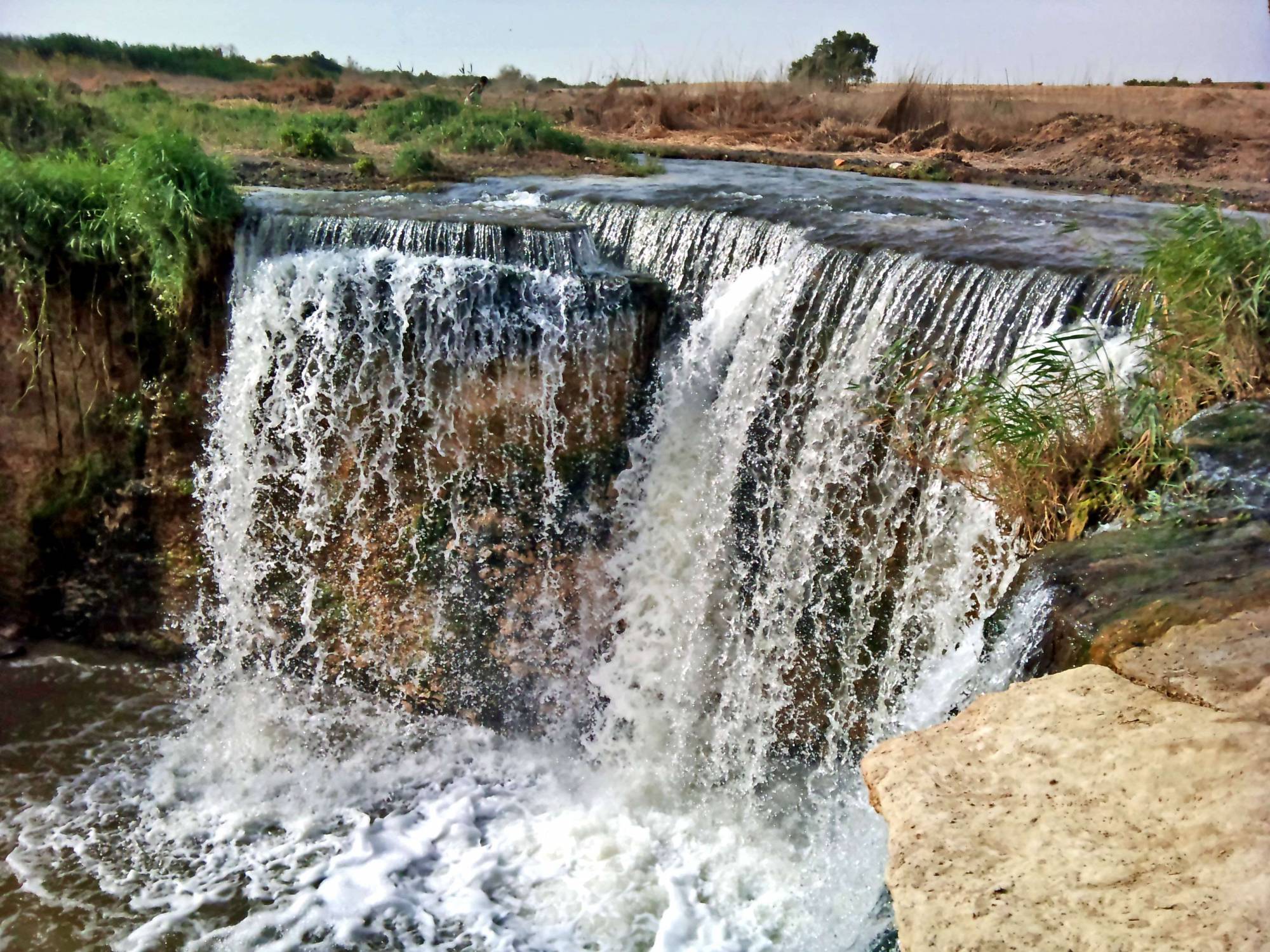 Bird Watching Tour to El Fayoum from Cairo