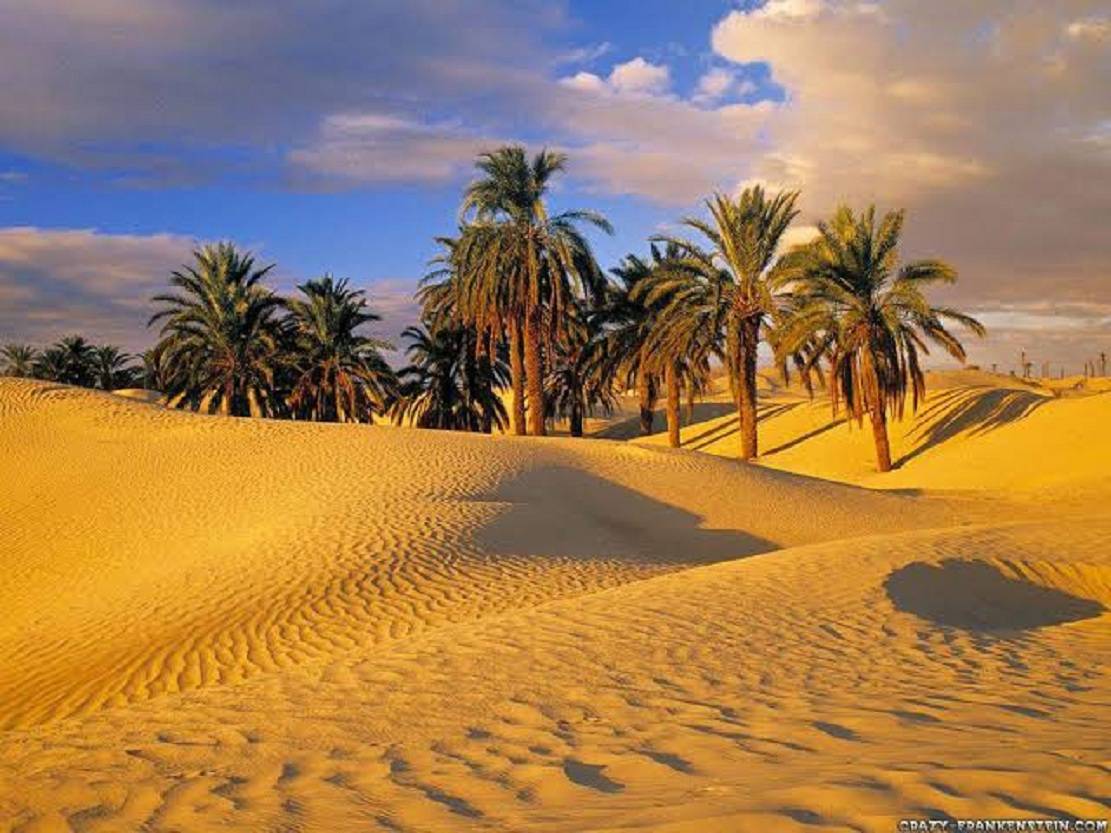 Private Full Day Tour: To El Fayoum from Cairo