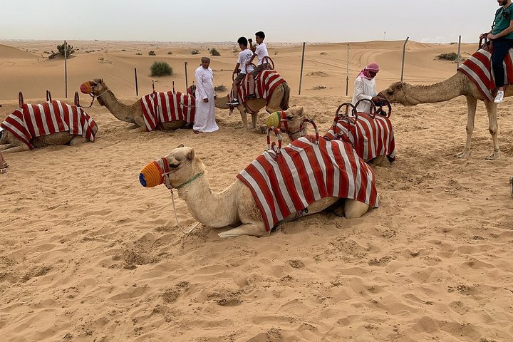 Sunset Desert Safari Trip By Quad Bike from Marsa Alam