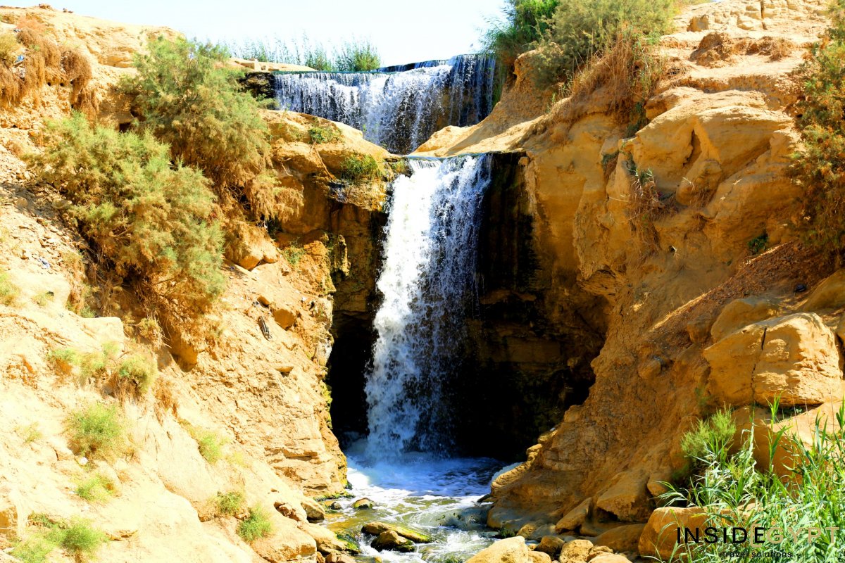 Day Tour from Cairo to Fayoum Oasis