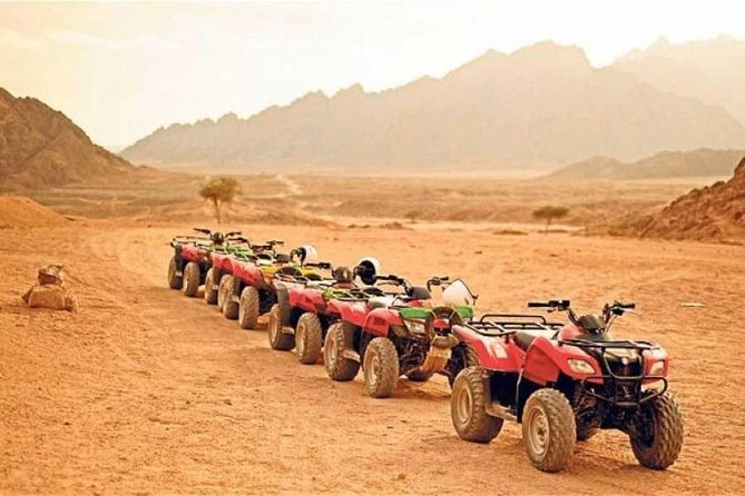 Morning Desert Safari Trip By Quad Bike from Marsa Alam