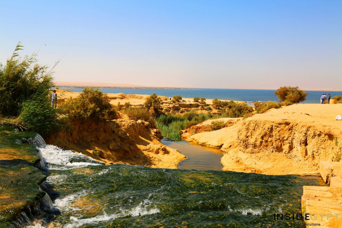 Day Tour from Cairo to Fayoum Oasis