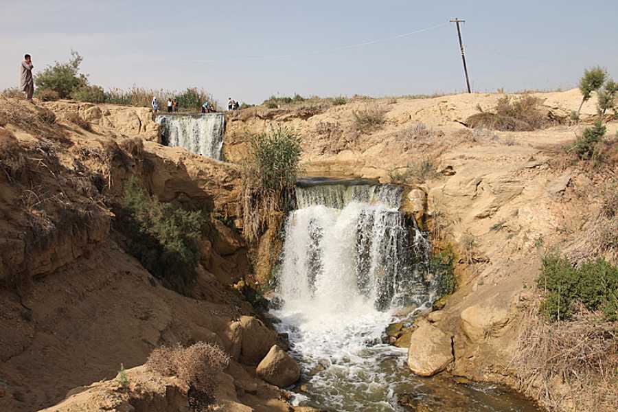 Private Overnight Trip: to Fayoum Natural Lakes - Wadi Hitan &Wadi El Rayyan