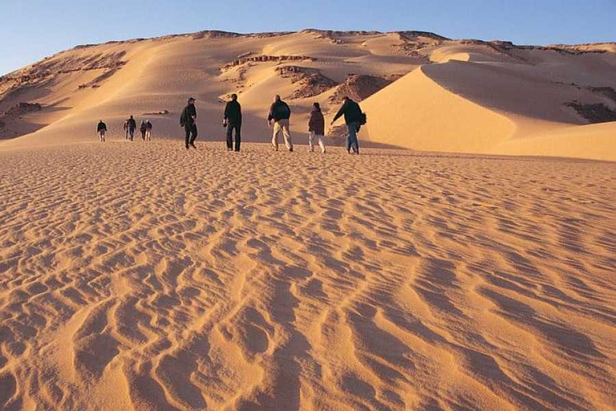 Private Full Day Tour: To El Fayoum from Cairo