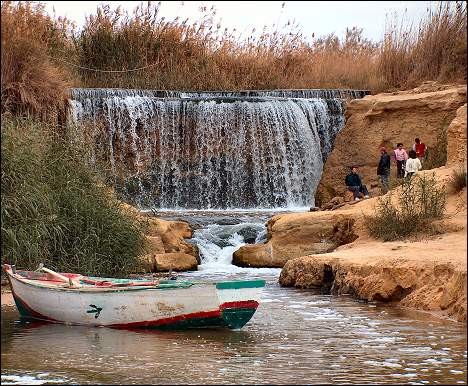 Bird Watching Tour to El Fayoum from Cairo
