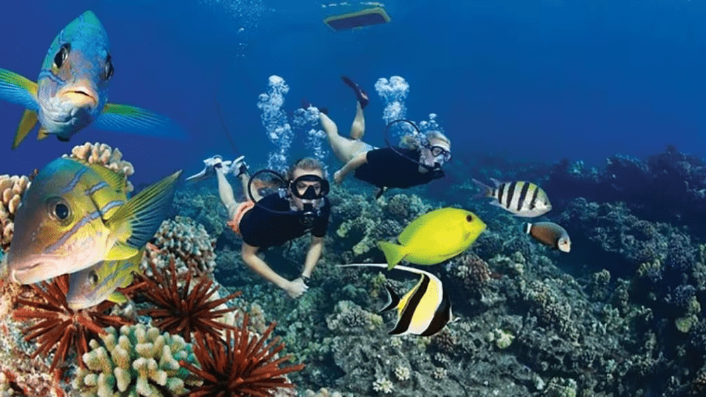 Day Trip Snorkeling At Port Ghalib Marina from Marsa Alam