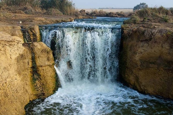 Bird Watching Tour to El Fayoum from Cairo