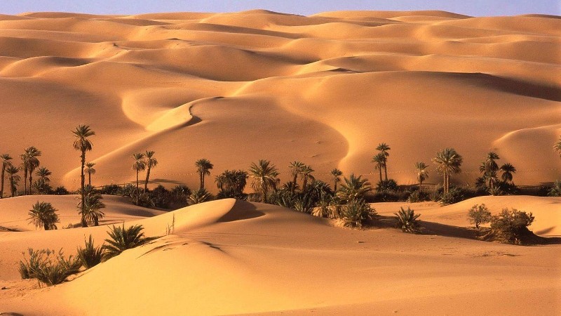 Cairo, Honeymoon Nile Cruise & Oasis Tour