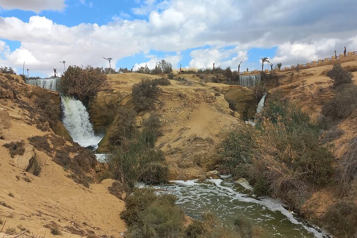 Day Tour from Cairo to Fayoum Oasis