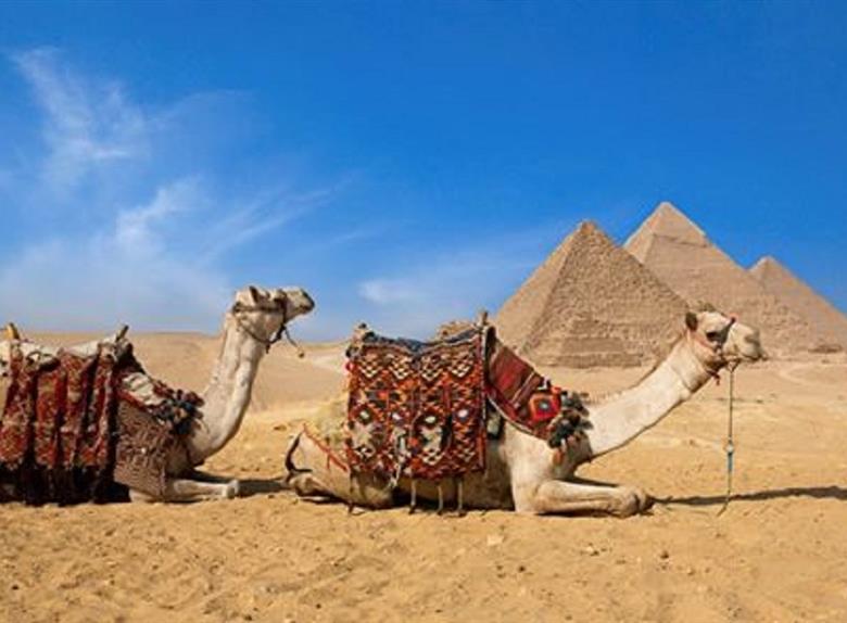 Camel/Horse Ride at the Great Giza Pyramids