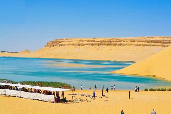 Day Tour from Cairo to Fayoum Oasis