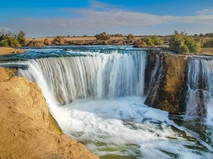 Bird Watching Tour to El Fayoum from Cairo
