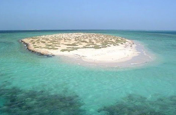 Snorkeling trip to Hamata Islands From Marsa Alam