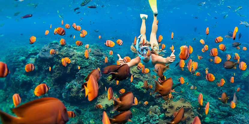 Snorkeling at Dolphin House in Marsa Alam