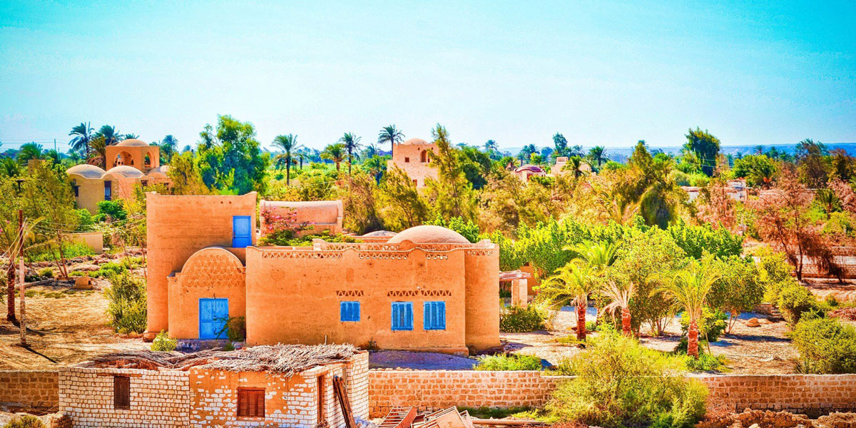 Day Tour from Cairo to Fayoum Oasis