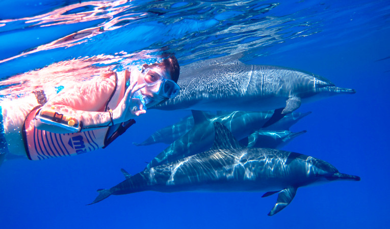 Snorkeling at Dolphin House in Marsa Alam