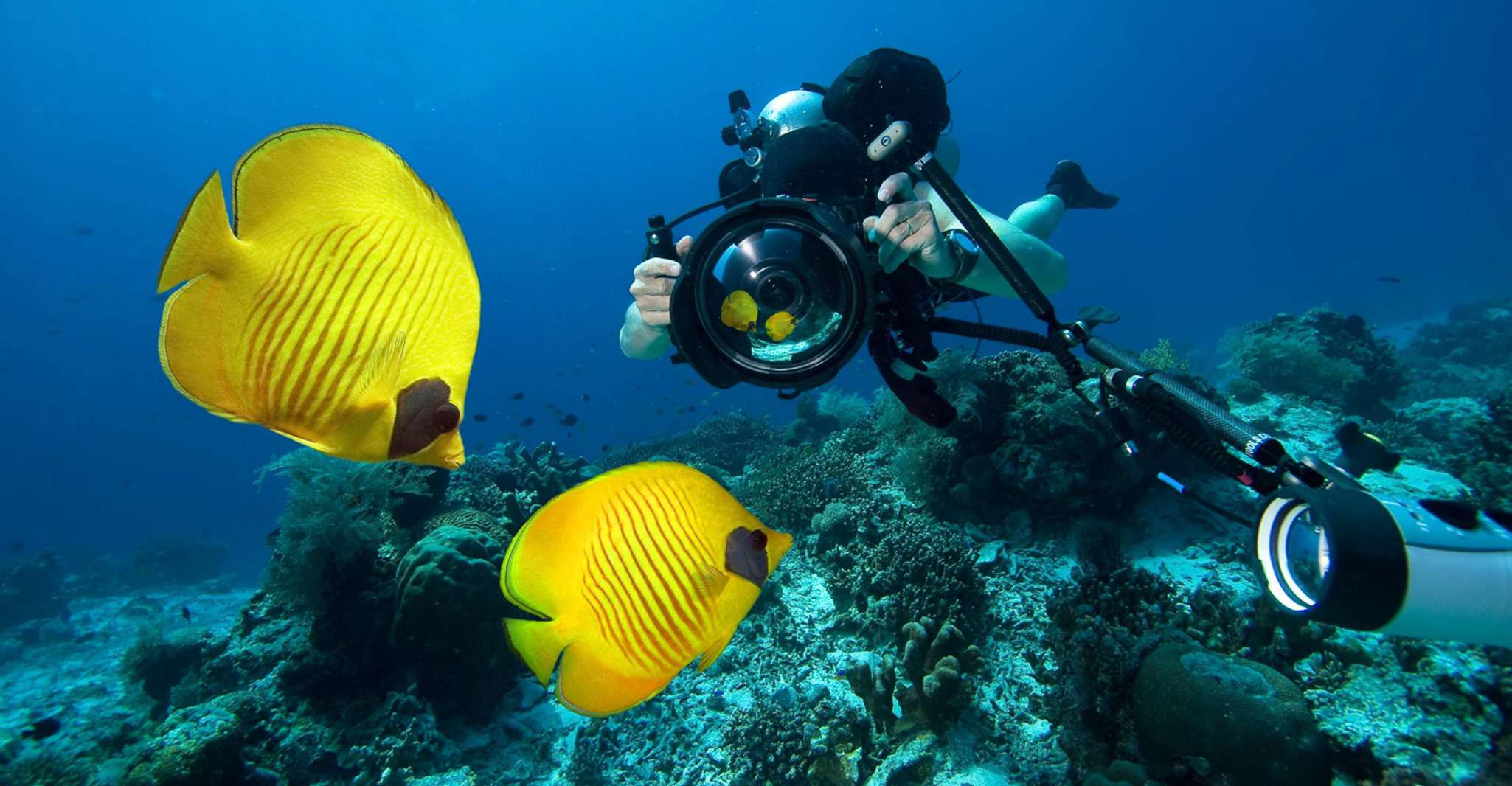 Snorkeling and recreational trip to Sharm El Naga Bay from Hurghada