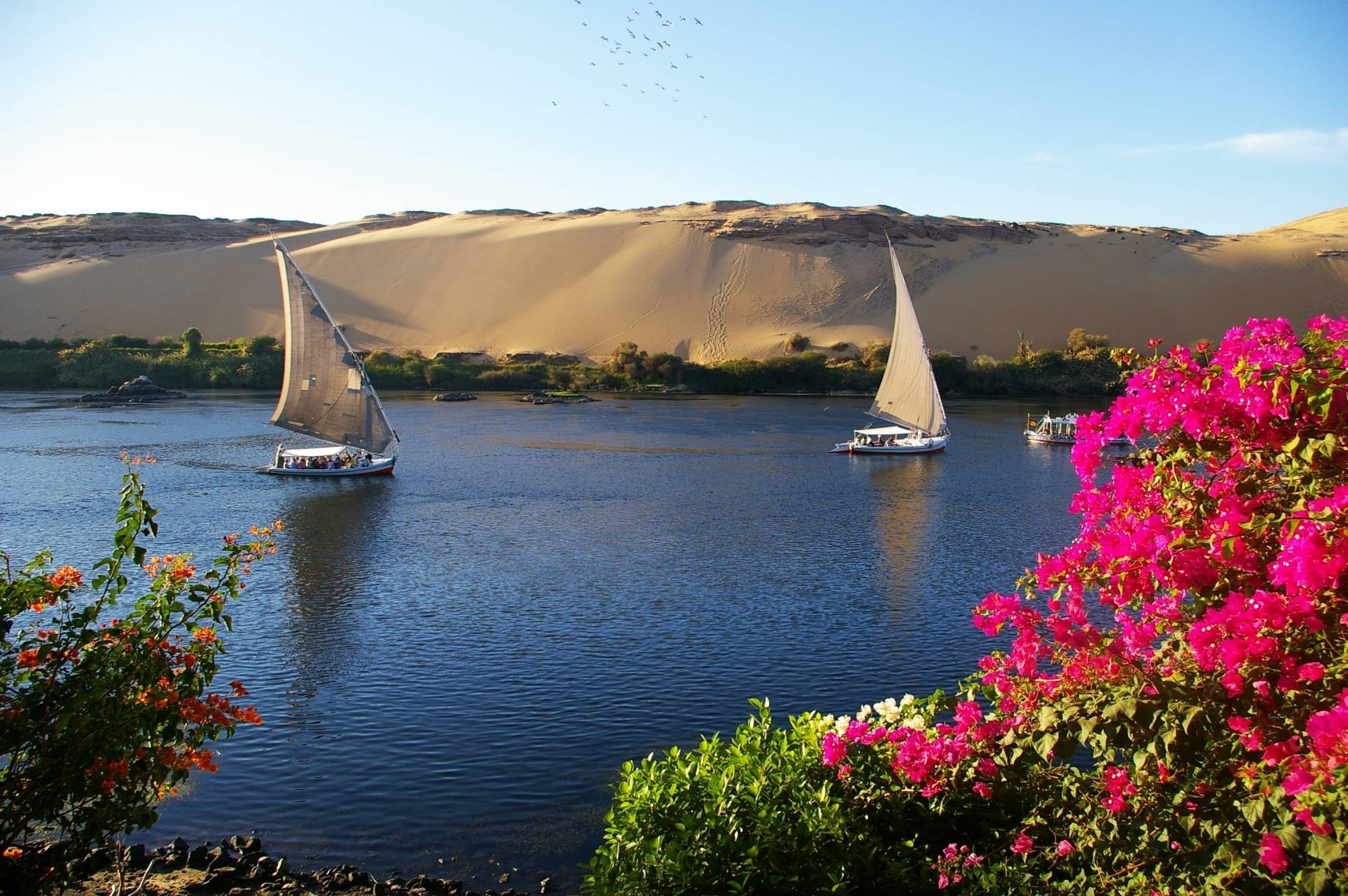 Felucca Trip in Aswan €