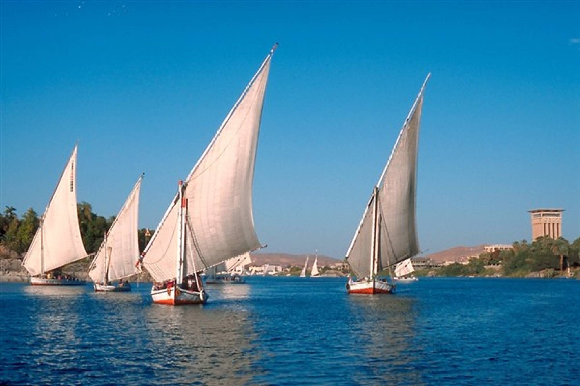 Felucca Trip in Aswan €