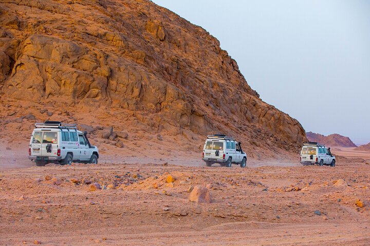 Bedouin BBQ in the Egyptian Desert by 4x4