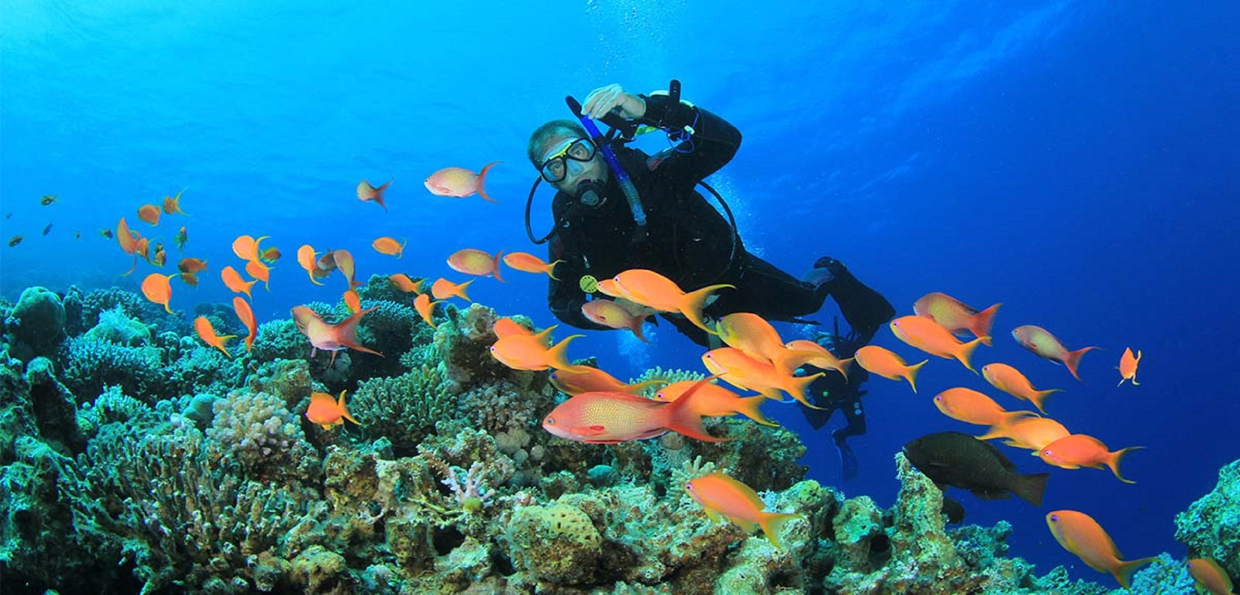 Snorkeling and recreational trip to Sharm El Naga Bay from Hurghada
