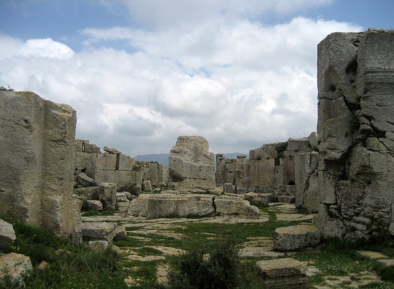 Private Trip: St Simeon Monastery including Motorboat and Camel Ride