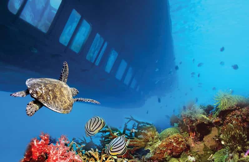 Hurghada Semi-Submarine Trip