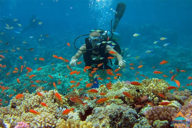 Snorkeling at Mahmya Island from Hurghada