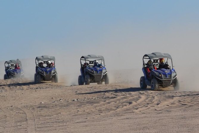 Morning Car Buggy Safari Hurghada
