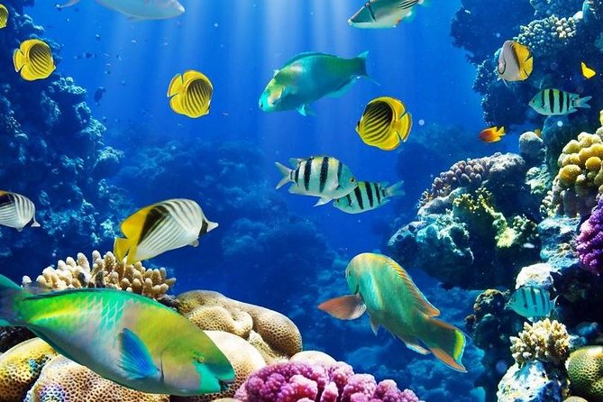 Hurghada