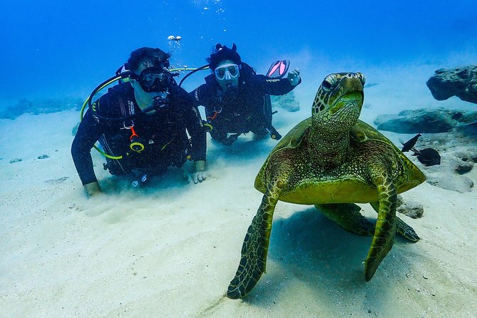 Full Day Scuba Diving Adventure Tour with Lunch at Hurgada