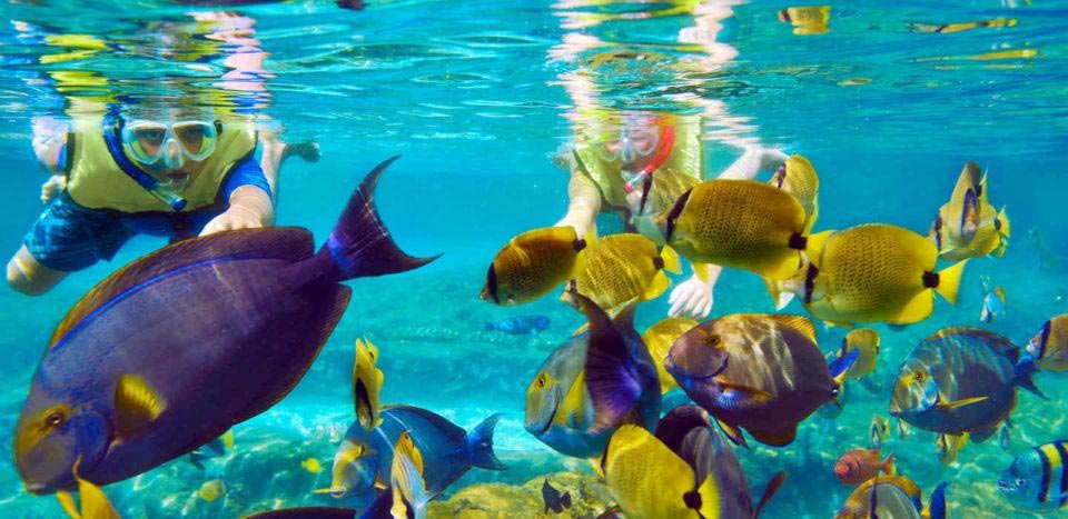 Snorkeling at Mahmya Island from Hurghada