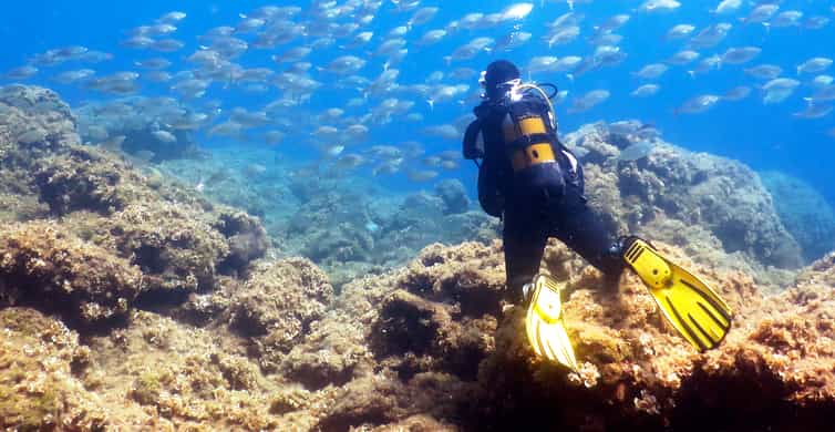 Full Day Scuba Diving Adventure Tour with Lunch at Hurgada