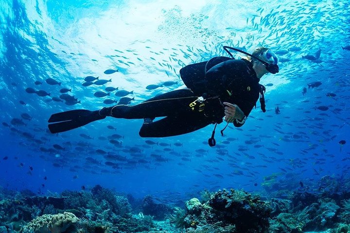 Full Day Scuba Diving Adventure Tour with Lunch at Hurgada