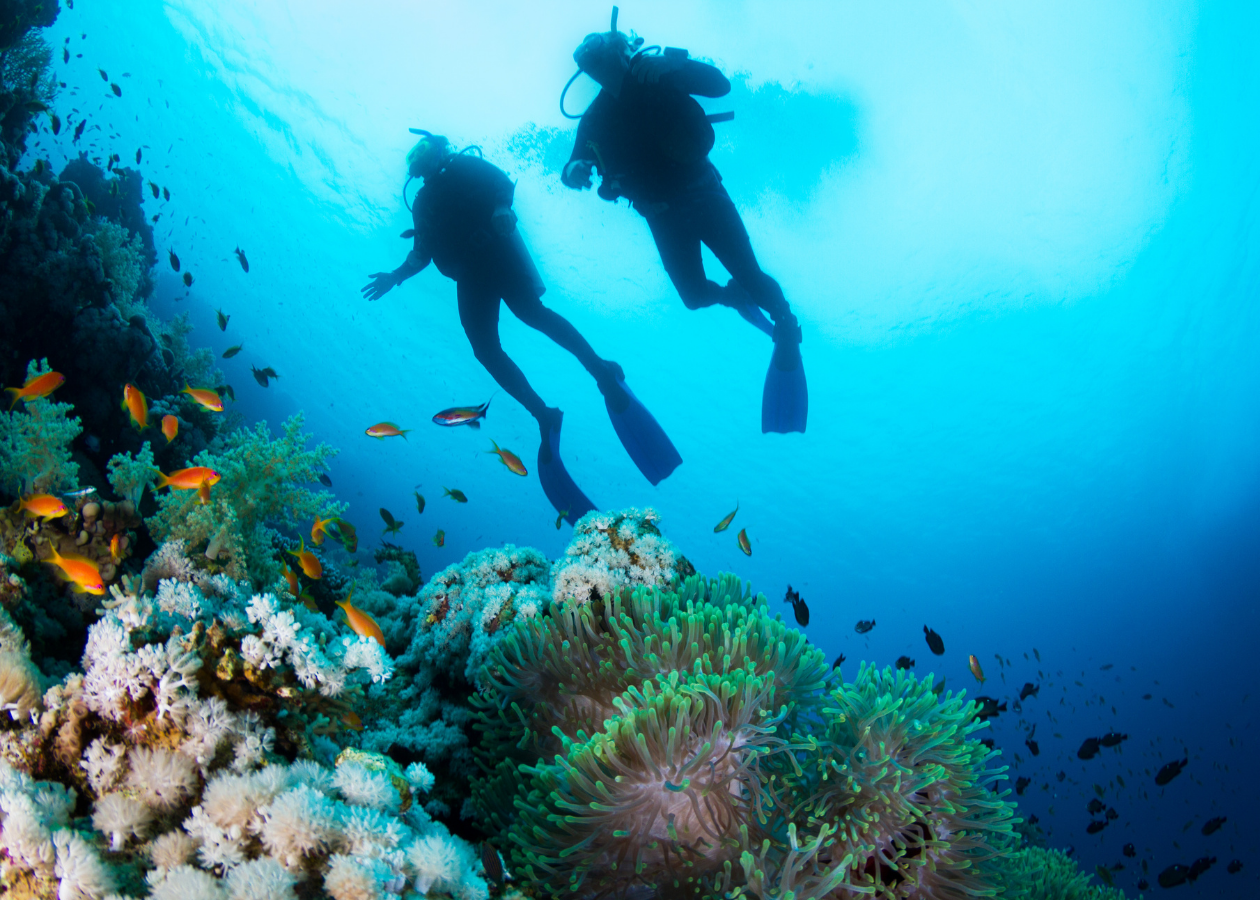 Full Day Scuba Diving Adventure Tour with Lunch at Hurgada