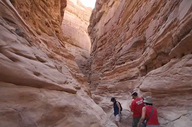 Safari Trip to Colored Canyon at Nuweiba